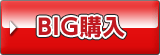 BIG購入