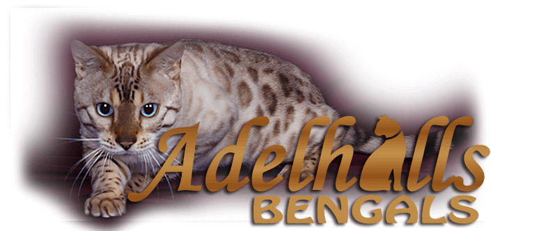 Adelhill Bengal Cats Logo