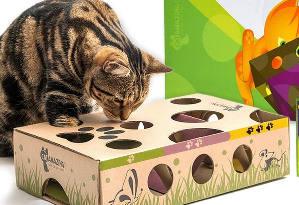 Puzzle Toy For Cats