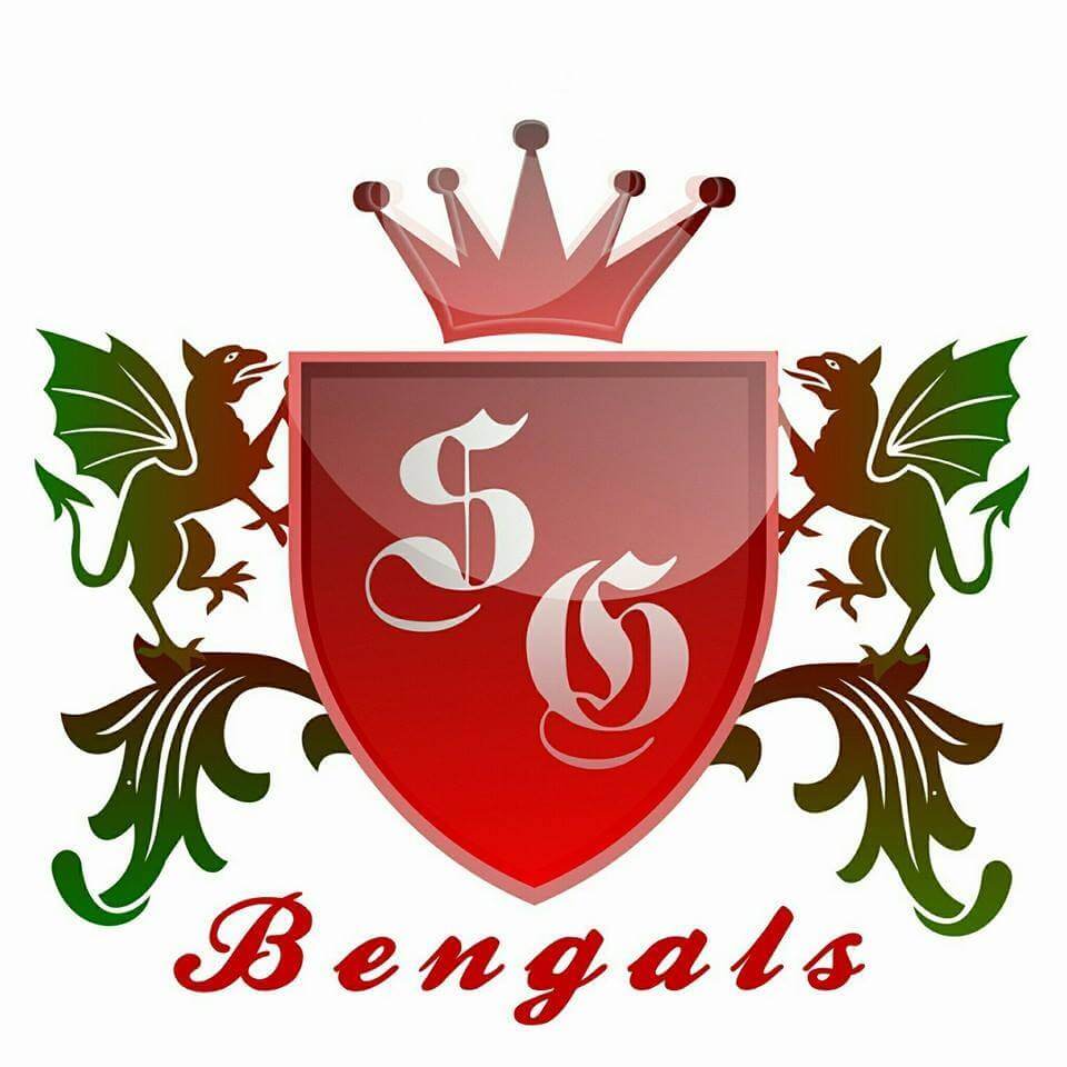 SG Bengal Cat logo