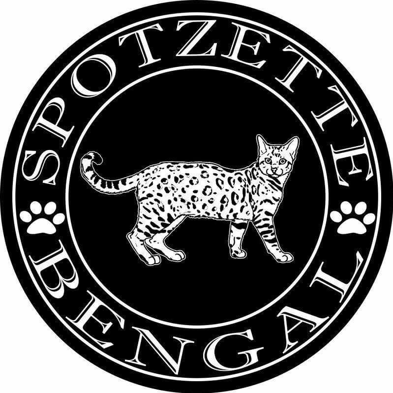 Spotzette Bengal Felines logo