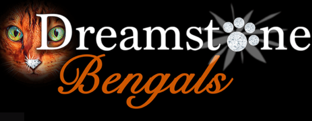 Dreamstone bengals breeder logo