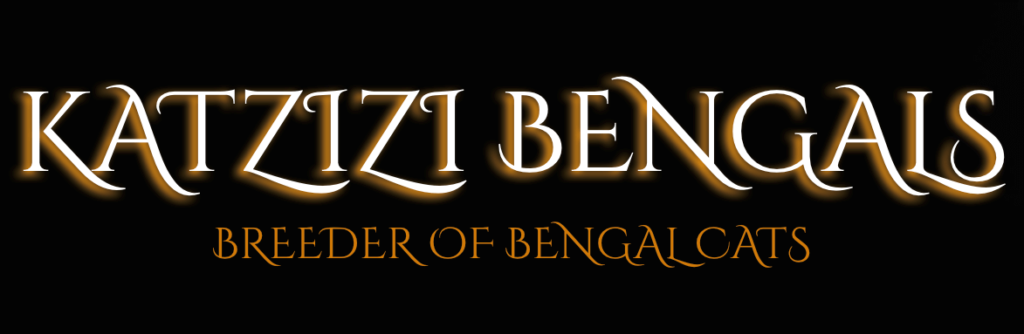Katzizi Bengals logo