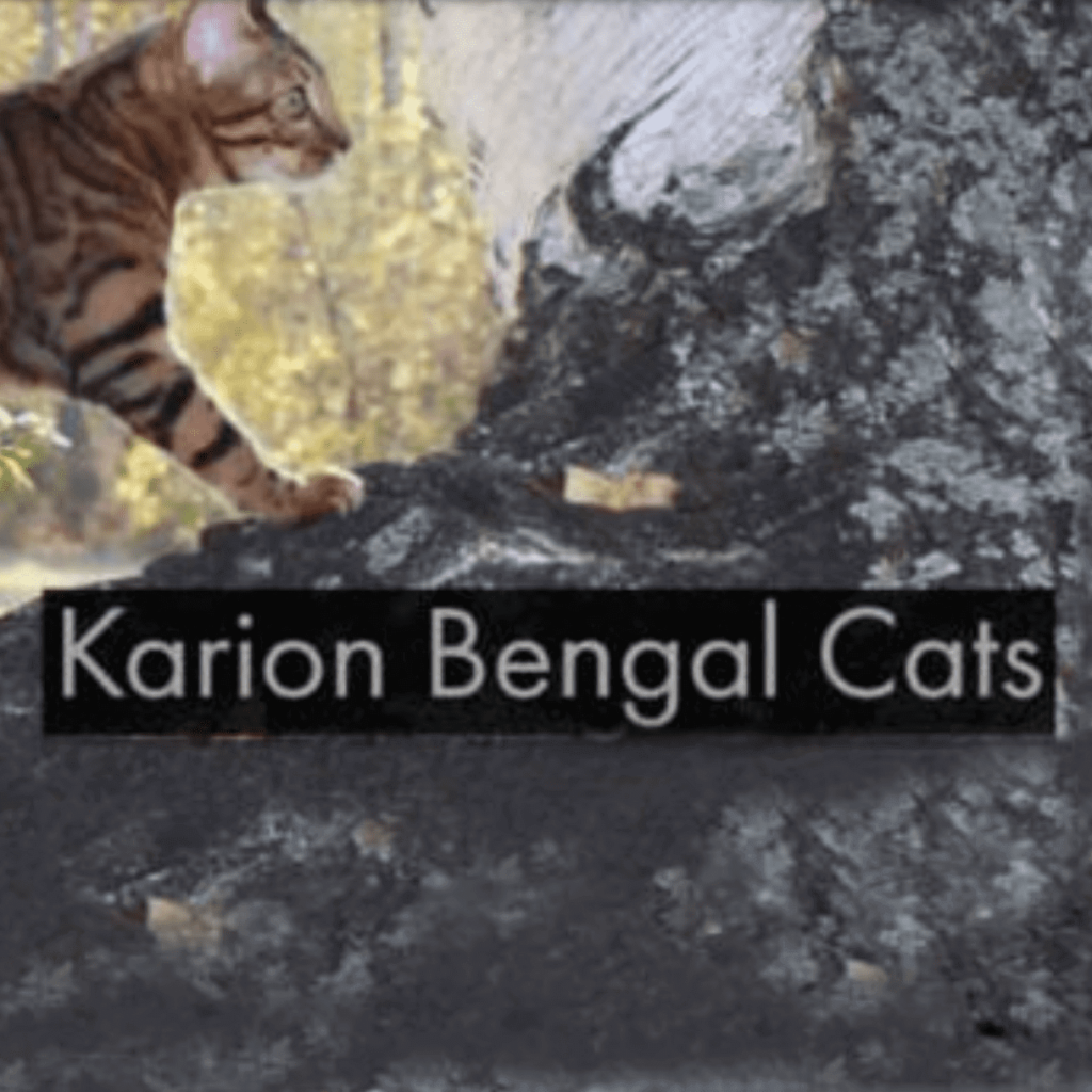 Karion Bengal Cats logo
