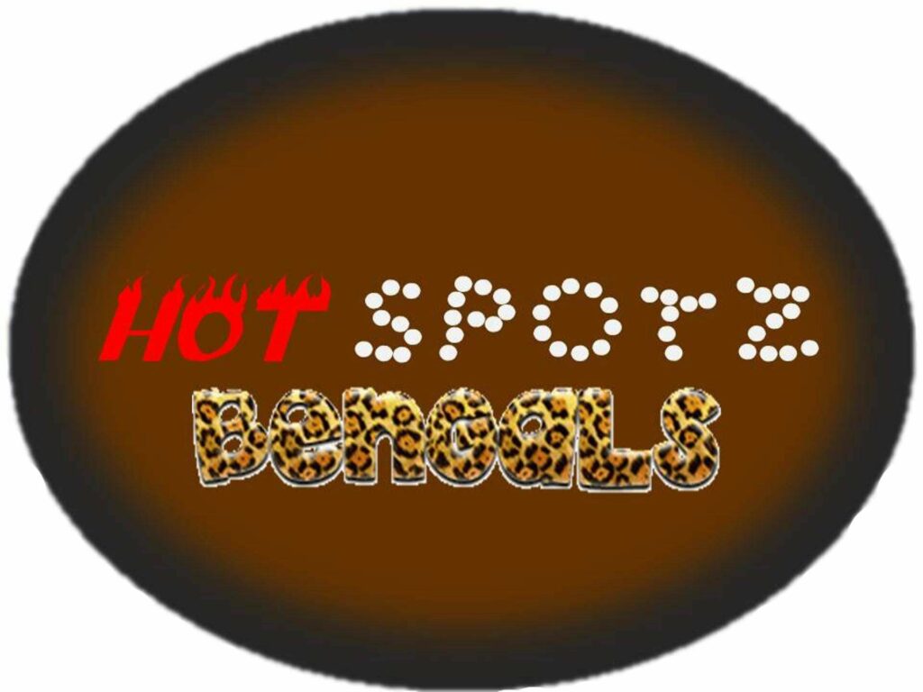 hot spotz bengals logo
